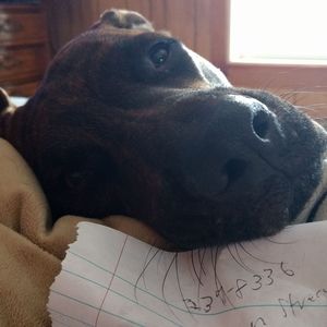 Meet your Posher, Laura